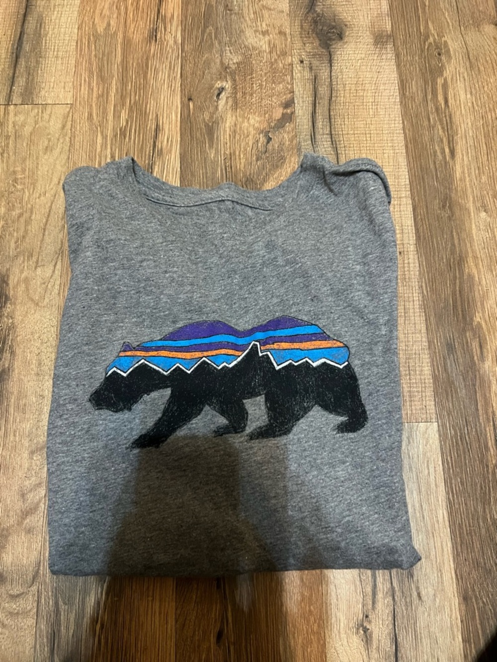 Gray Bear Graphic Tee with Colorful Mountain Stripe